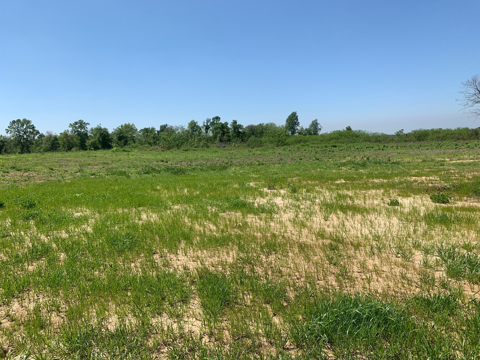 000E-2A Highway 61, Natchez, MS for sale Building Photo- Image 1 of 5