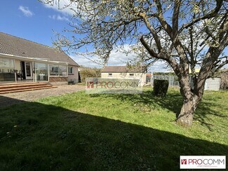 Plus de détails pour Flex à vendre