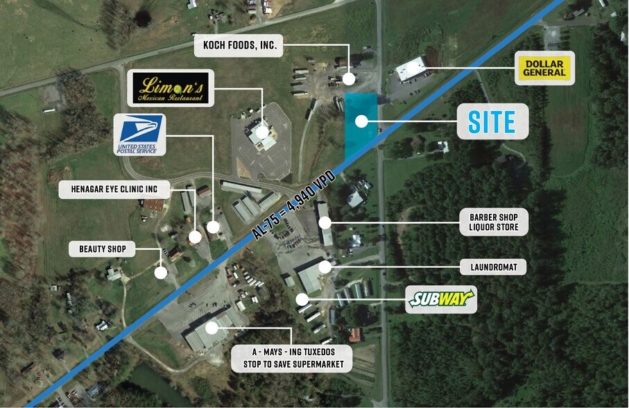 16996 Broad St, Henagar, AL à vendre - Aérien - Image 3 de 4