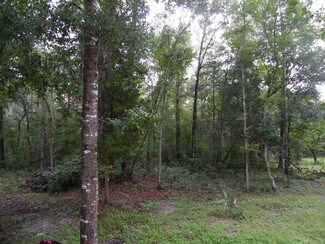 More details for 67135 Greg Dyal Ct, Yulee, FL - Land for Sale