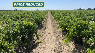 Plus de détails pour S. of Locan & Conejo Intersection, Kingsburg, CA - Terrain à vendre