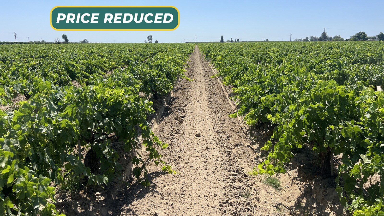 S. of Locan & Conejo Intersection, Kingsburg, CA à vendre Photo principale- Image 1 de 6