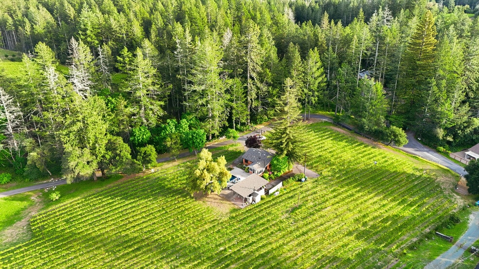 425 Cold Springs Rd, Angwin, CA à vendre - Photo du bâtiment - Image 1 de 4