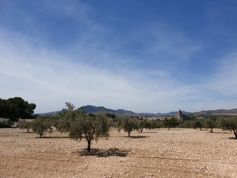 Land in Sax, Alicante for sale - Aerial - Image 1 of 5