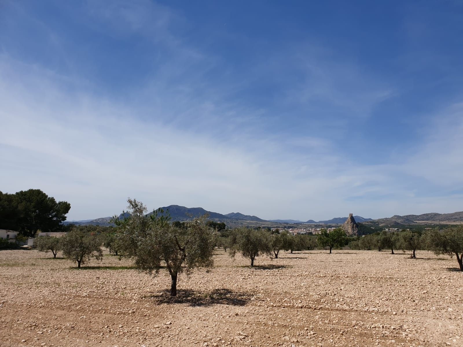 Land in Sax, Alicante for sale Aerial- Image 1 of 6