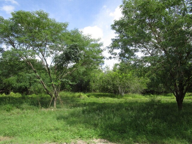 25094 Chester Park Rd, Harlingen, TX à vendre - Photo du bâtiment - Image 3 de 6