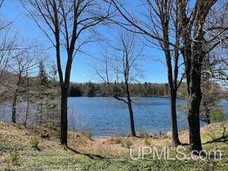 Plus de détails pour TBD Ackerman Lake Road, Munising, MI - Terrain à vendre