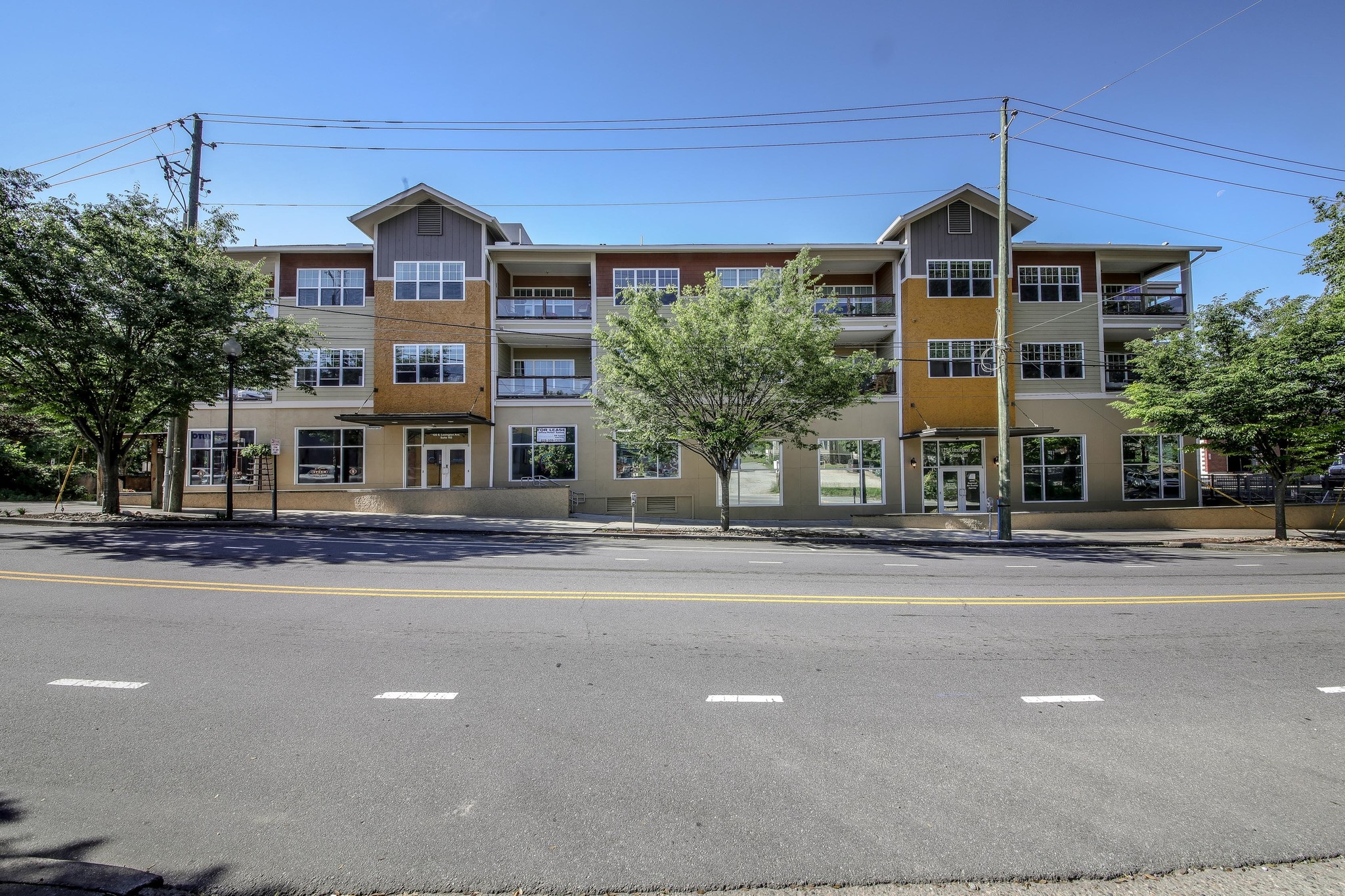 125-161 S Lexington Ave, Asheville, NC for sale Primary Photo- Image 1 of 38