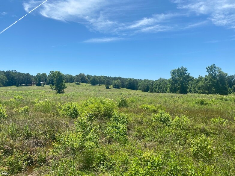 000 Mizell Road, Tuskegee, AL for sale - Other - Image 3 of 9