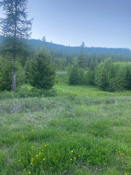 Haskill Mountain Ranch Phase 1, Kila, MT for sale - Building Photo - Image 1 of 1