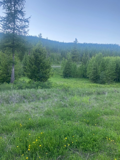 Haskill Mountain Ranch Phase 1, Kila, MT à vendre Photo du bâtiment- Image 1 de 1