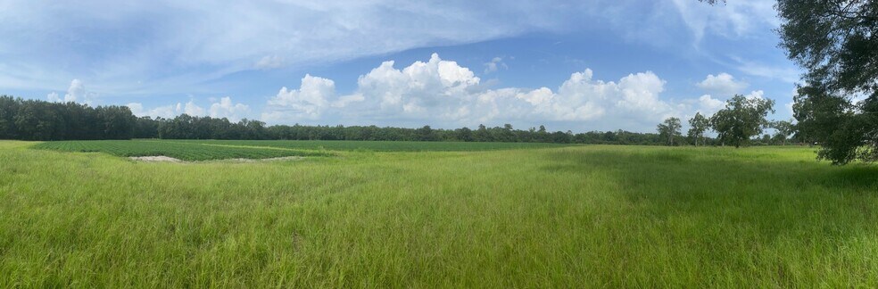 0 Presley Street, Atmore, AL à vendre - Aérien - Image 2 de 35