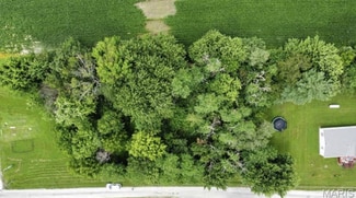 More details for 000 Fellin Drive, Mount Olive, IL - Land for Sale