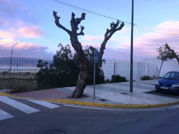 Avenida Europa, 281, La Mojonera, Almería à vendre - Photo du bâtiment - Image 2 de 2