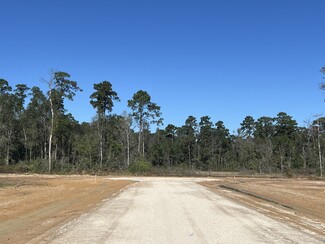 Plus de détails pour 12895 Coon Massey Rd, Conroe, TX - Terrain à vendre