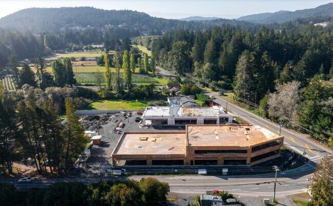 Plus de détails pour 995 Latoria Rd, Victoria, BC - Commerce de détail à louer