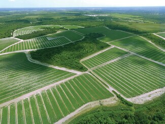 Plus de détails pour 40105 Ballard Rd, Myakka City, FL - Terrain à louer