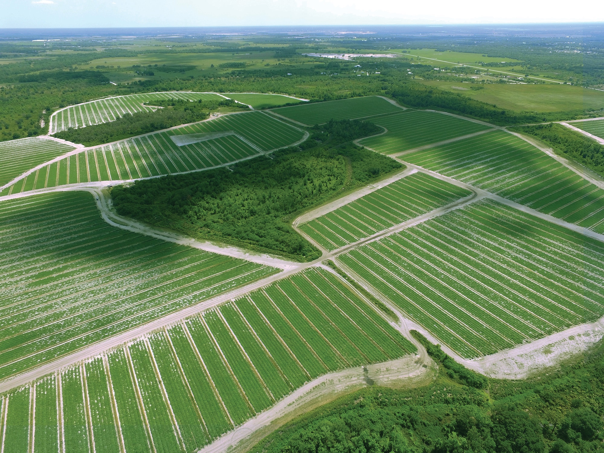 40105 Ballard Rd, Myakka City, FL à louer Aérien- Image 1 de 11