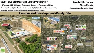 More details for 4154 Lecanto Highway, Beverly Hills, FL - Land for Sale