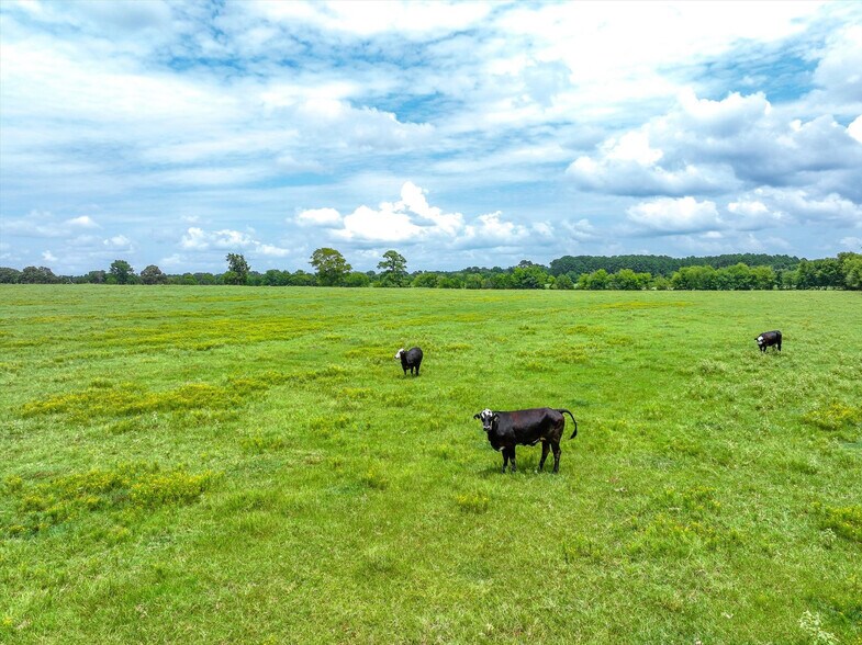 Tract 7 FM 855, Jacksonville, TX à vendre - Photo du bâtiment - Image 2 de 18