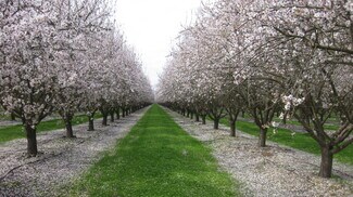 Plus de détails pour 6778 E Nebraska Ave, Selma, CA - Terrain à vendre