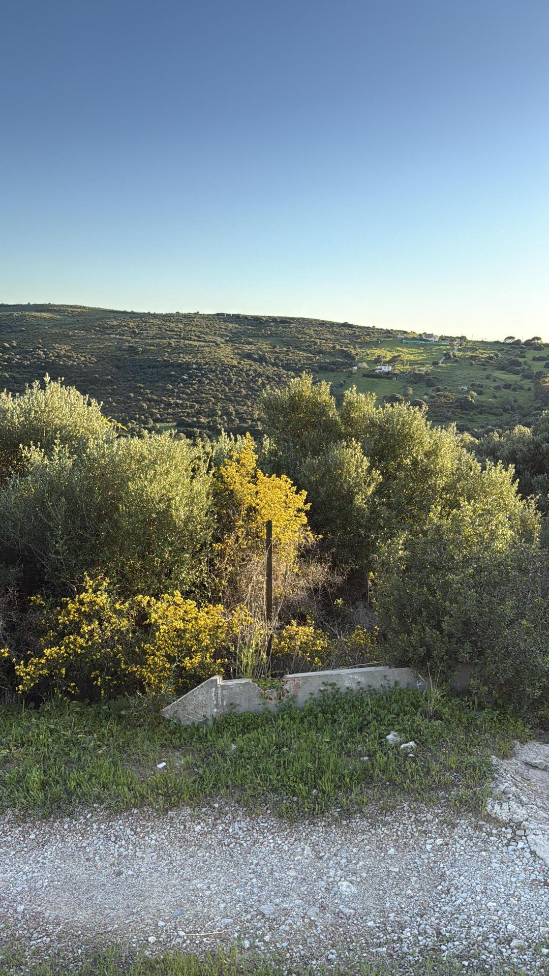 Land in Casares, Málaga for sale Building Photo- Image 1 of 4