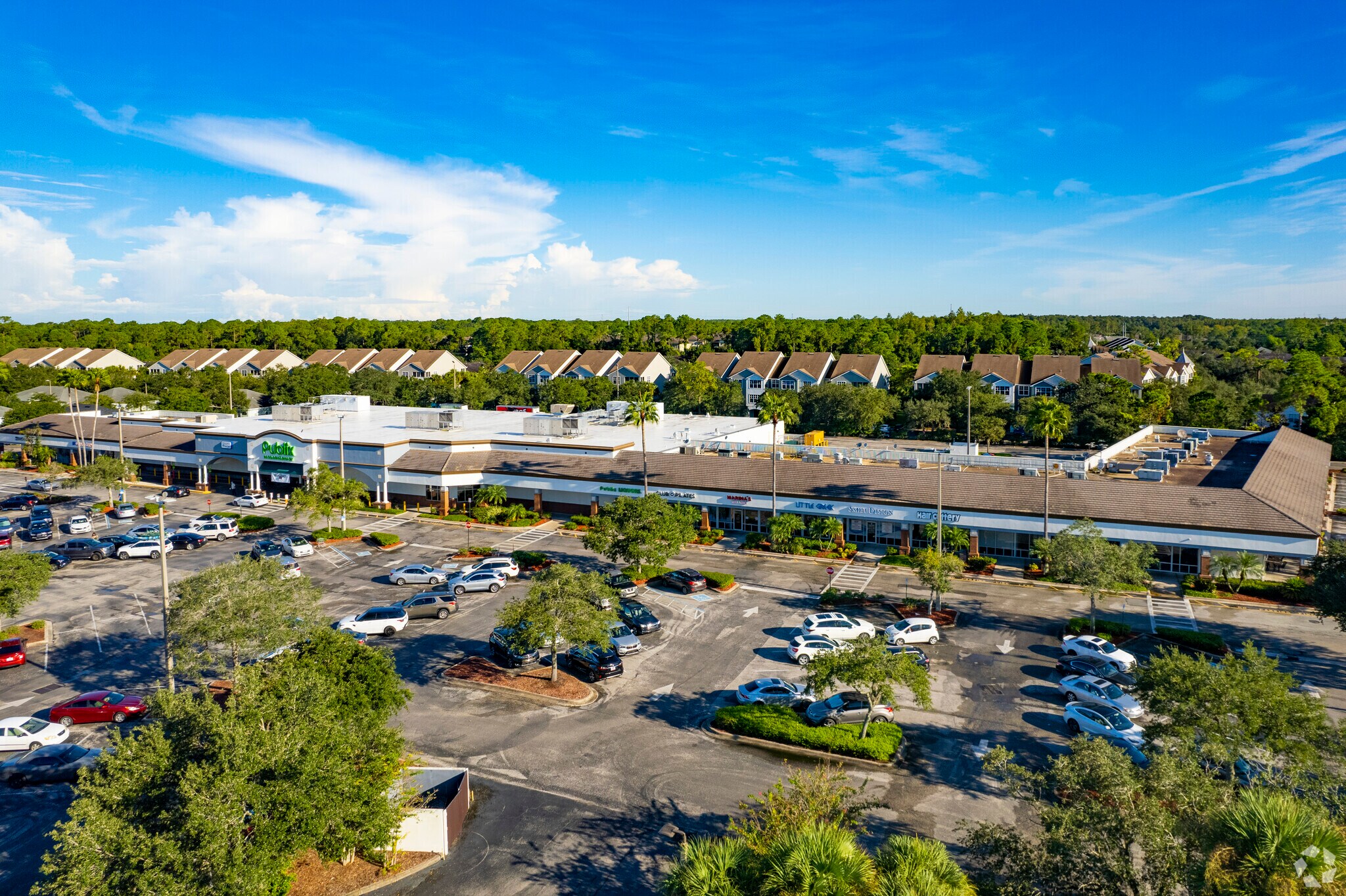 12125 W Linebaugh Ave, Tampa, FL à louer Photo du bâtiment- Image 1 de 6