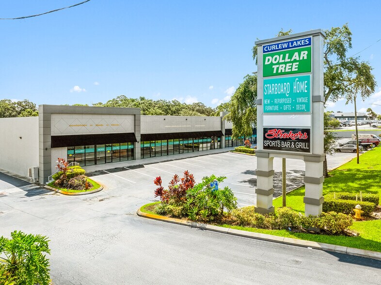 31075-31077 U.S. Highway 19 N, Palm Harbor, FL à louer - Photo du bâtiment - Image 3 de 11