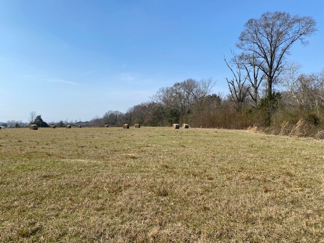 Hwy 103, Washington, LA for sale - Primary Photo - Image 1 of 7