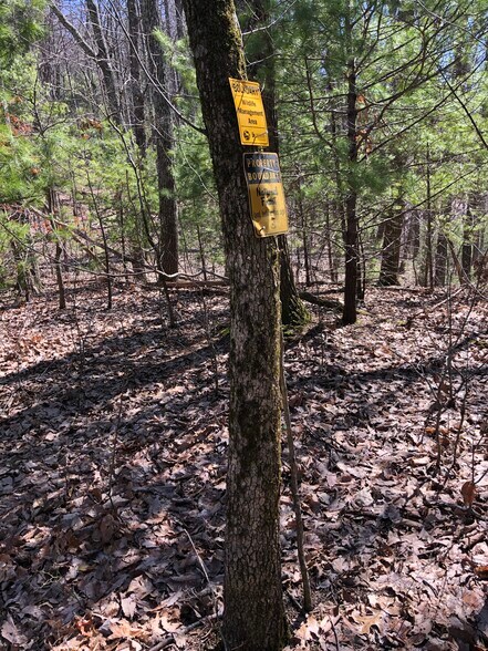 0 Lost Silver Mine Rd, Cisco, GA à vendre - Photo du bâtiment - Image 2 de 4