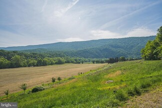 Plus de détails pour 895 Fishers rd, Maurertown, VA - Terrain à vendre