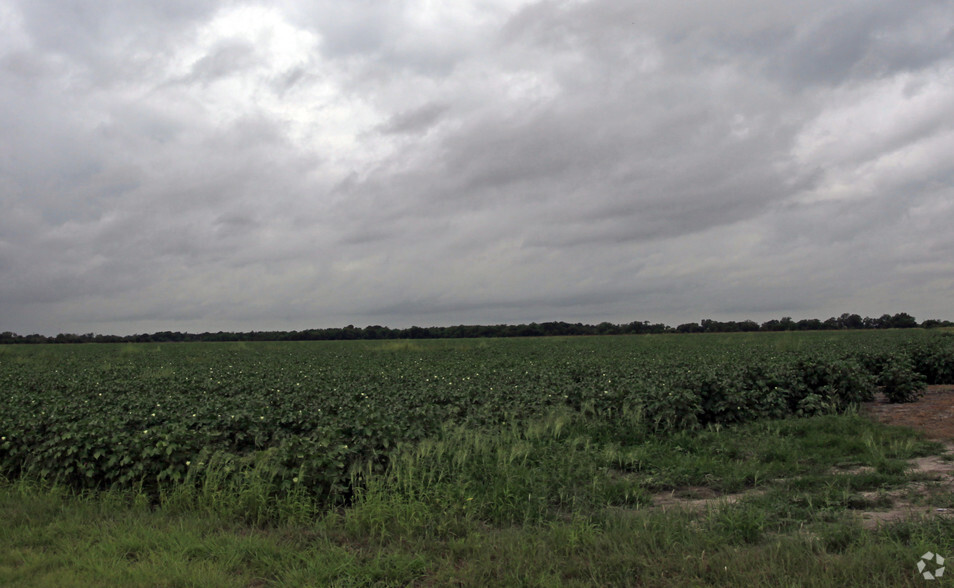 1420 Klauke Rd, Rosenberg, TX for sale - Primary Photo - Image 1 of 1