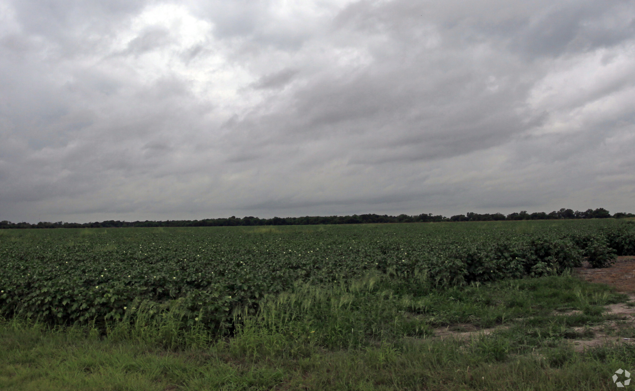 1420 Klauke Rd, Rosenberg, TX for sale Primary Photo- Image 1 of 1