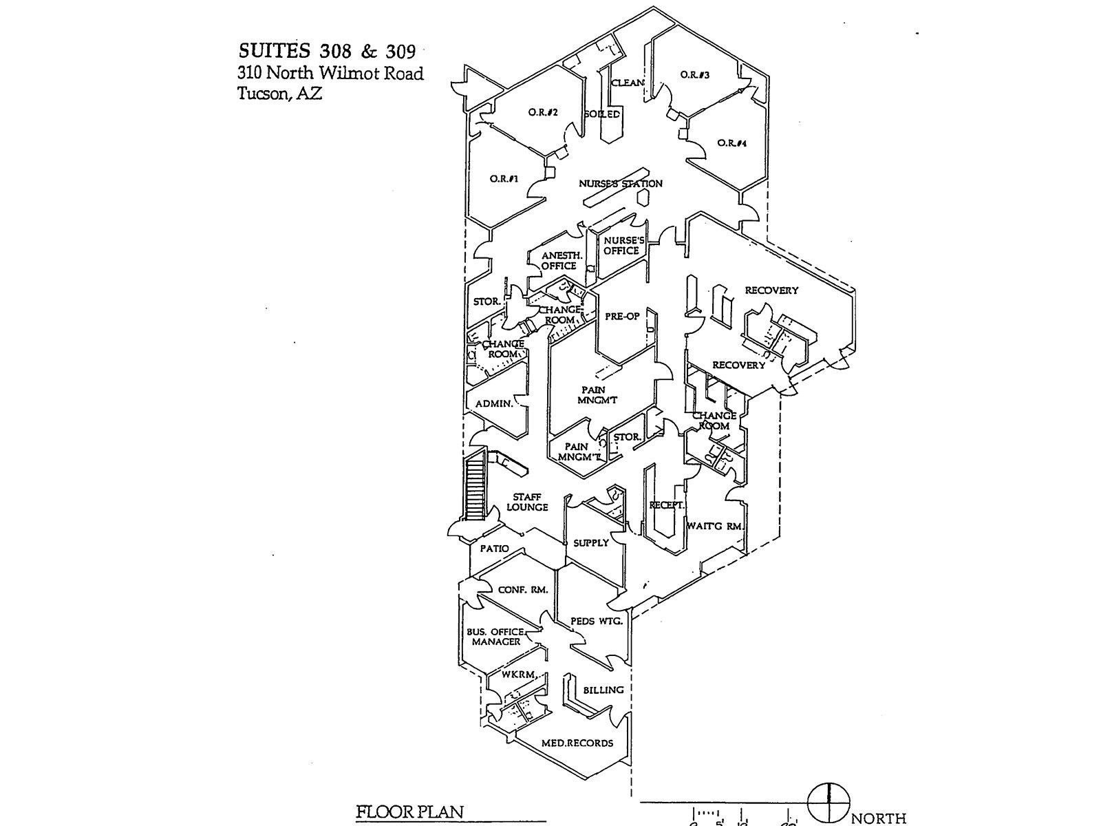 310 N Wilmot Rd, Tucson, AZ à louer Photo du bâtiment- Image 1 de 1