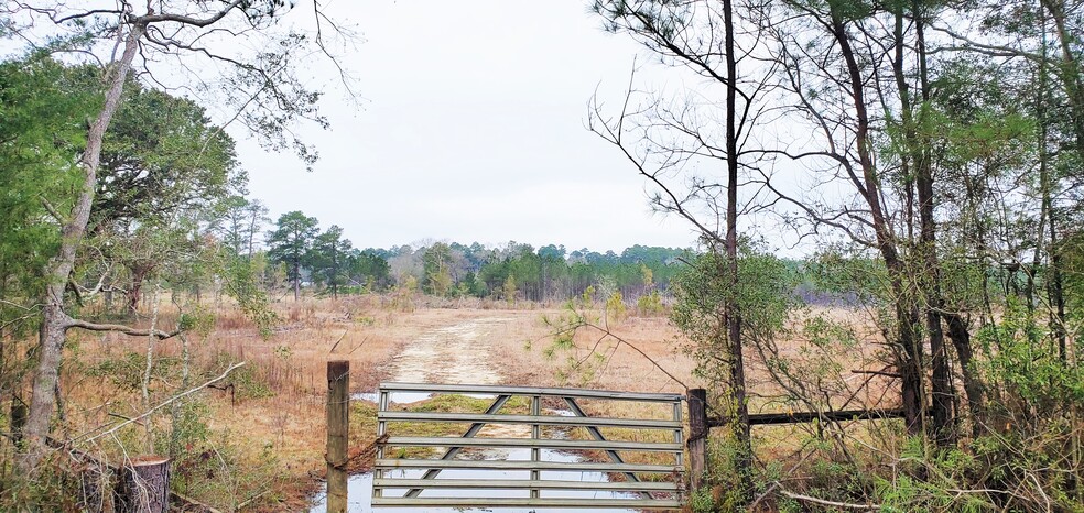 Highway 3226, Deridder, LA à vendre - Photo principale - Image 1 de 5