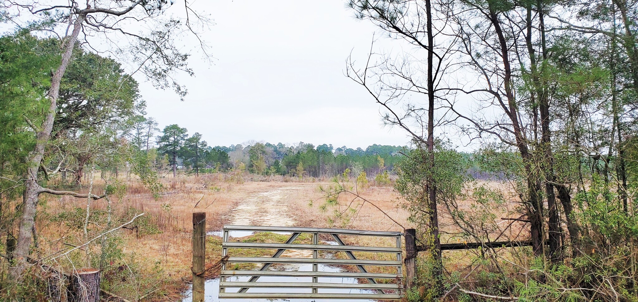 Highway 3226, Deridder, LA à vendre Photo principale- Image 1 de 6