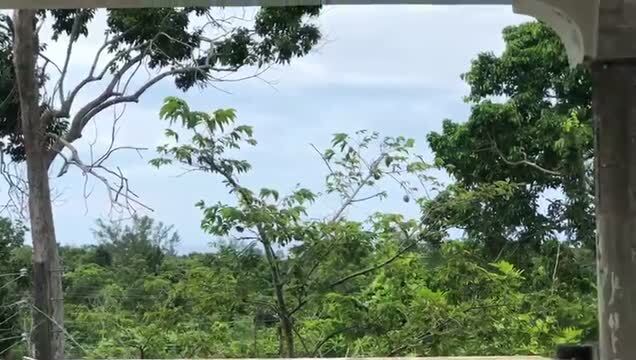 Services hôteliers dans West End Negril Jamaica, Negril à vendre - Vidéo sur l’inscription commerciale - Image 2 de 13