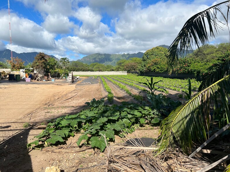 87-1205 Paakea Rd, Waianae, HI à vendre - Autre - Image 1 de 1