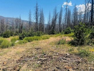 More details for 172 Standart Mine Road Rd, Greenville, CA - Land for Sale