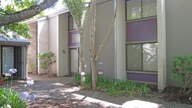 1301 Farmers Ln, Santa Rosa, CA à louer Photo du bâtiment- Image 2 de 3