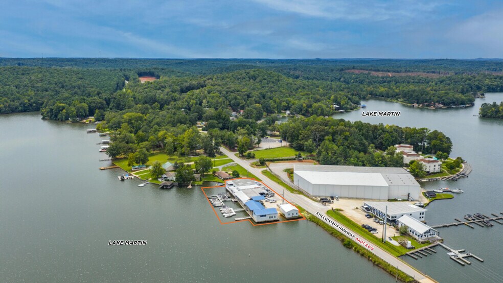 7361 AL-49 Hwy, Dadeville, AL for sale - Aerial - Image 1 of 10