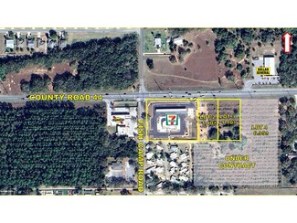 Plus de détails pour County Road 44, Grand Island, FL - Terrain à vendre