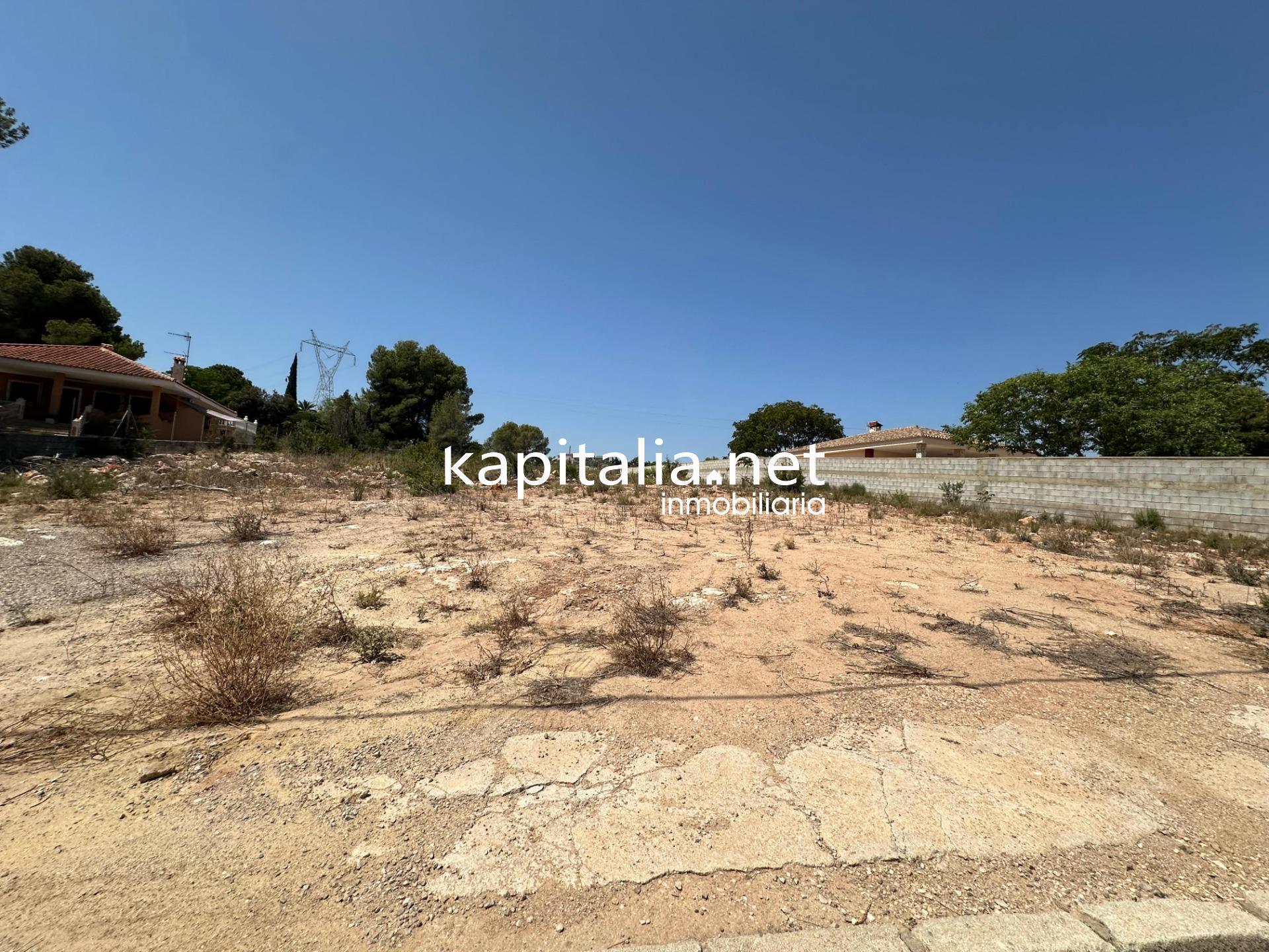Terrain dans Alberic, Valencia à vendre Photo principale- Image 1 de 4