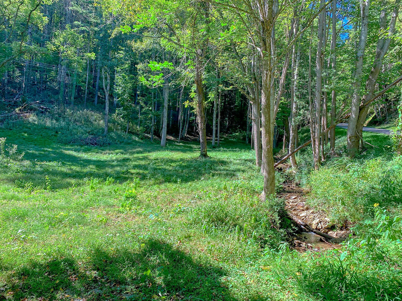 00 Eagles Nest Rd, Waynesville, NC à vendre - Photo principale - Image 1 de 1