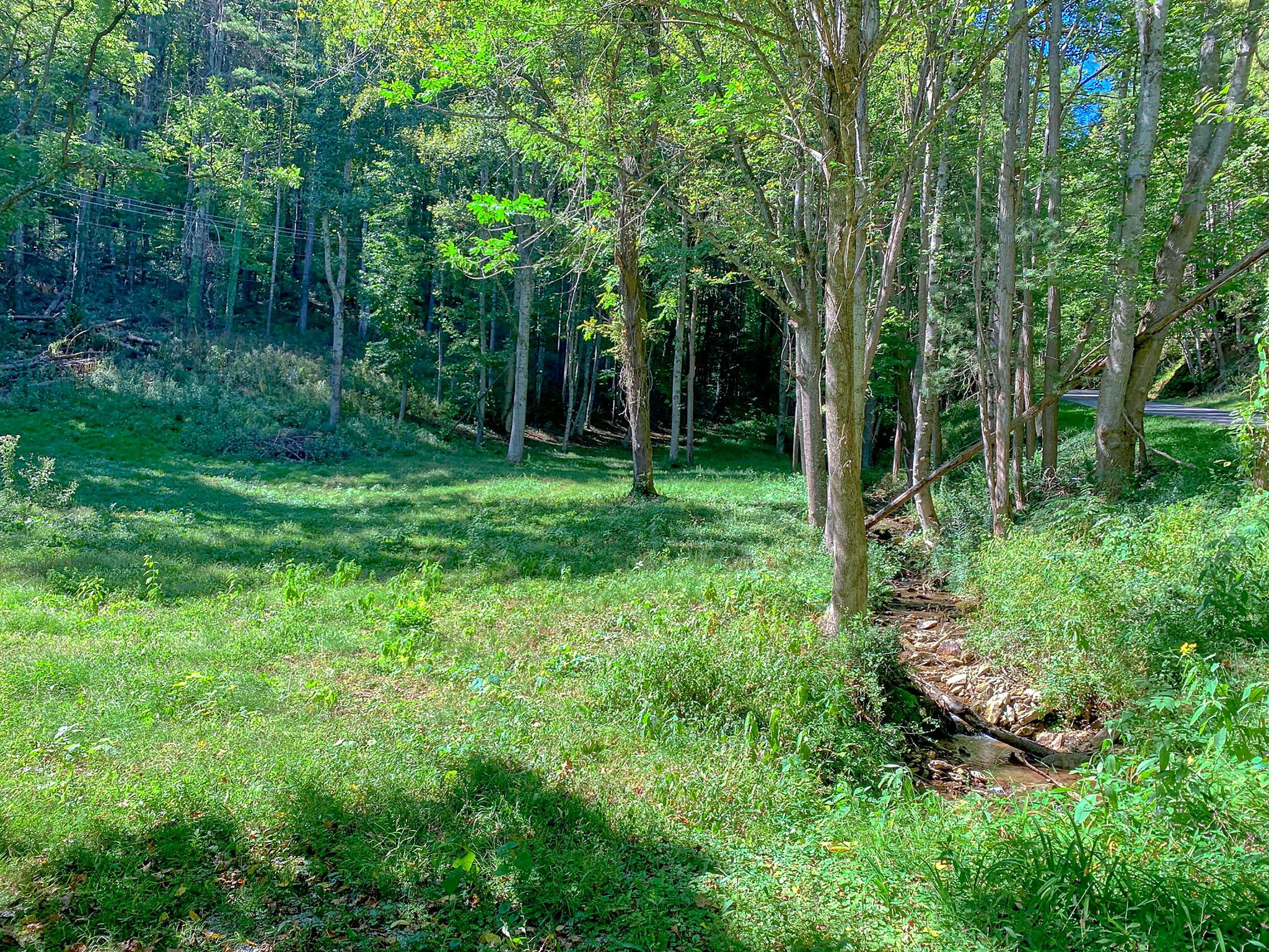 00 Eagles Nest Rd, Waynesville, NC à vendre Photo principale- Image 1 de 1