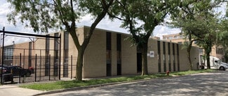 Plus de détails pour 250 N Washtenaw Ave, Chicago, IL - Industriel à vendre