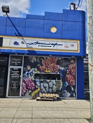 More details for 1079-1083 Willis Ave, Albertson, NY - Office/Retail for Lease