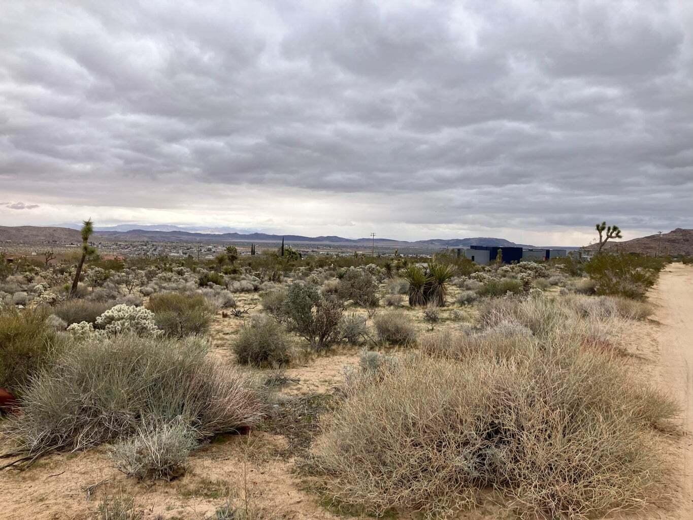 60926 Alta Vista Dr, Joshua Tree, CA for sale Primary Photo- Image 1 of 9