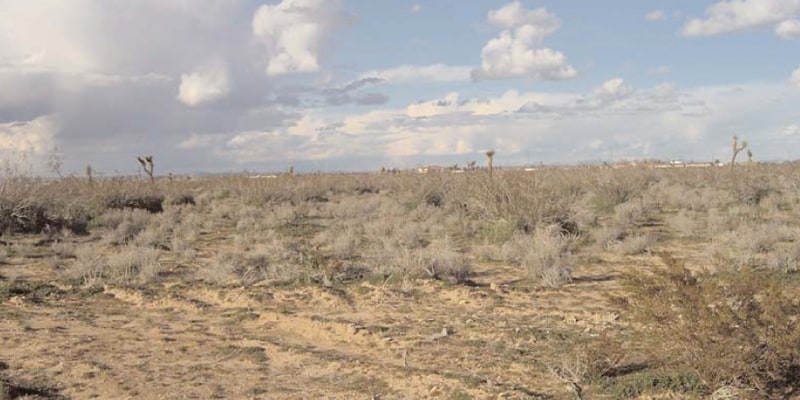 Hwy 395, Adelanto, CA for sale - Primary Photo - Image 1 of 4