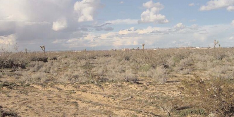 Hwy 395, Adelanto, CA for sale Primary Photo- Image 1 of 5